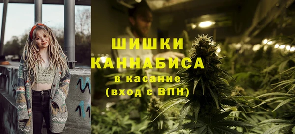 крисы Горнозаводск